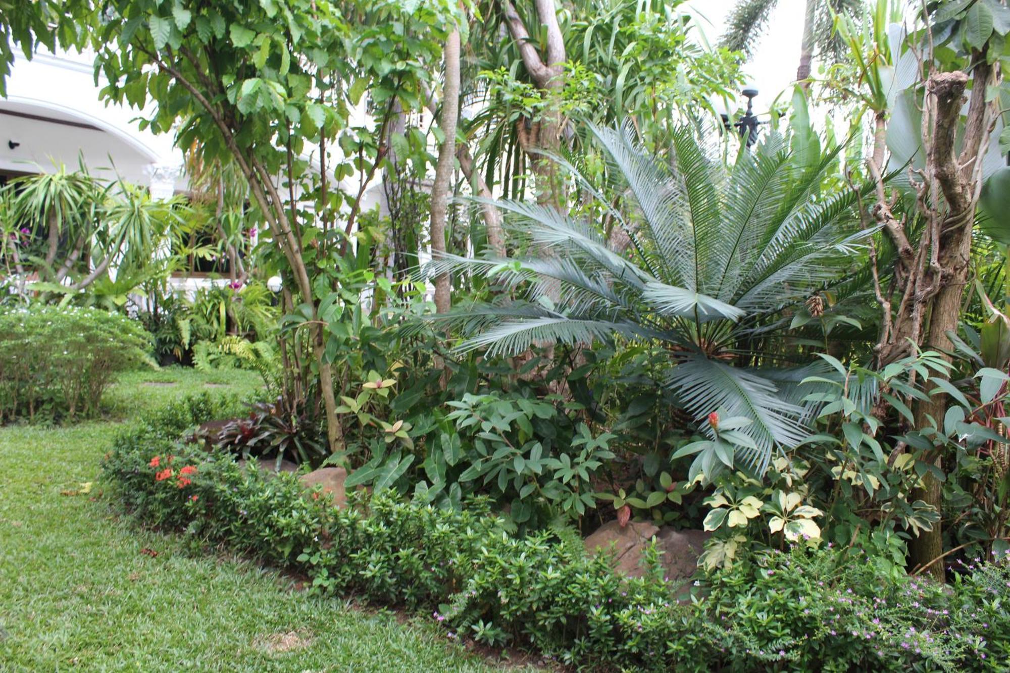 White Elephant Resort Surin Exteriér fotografie