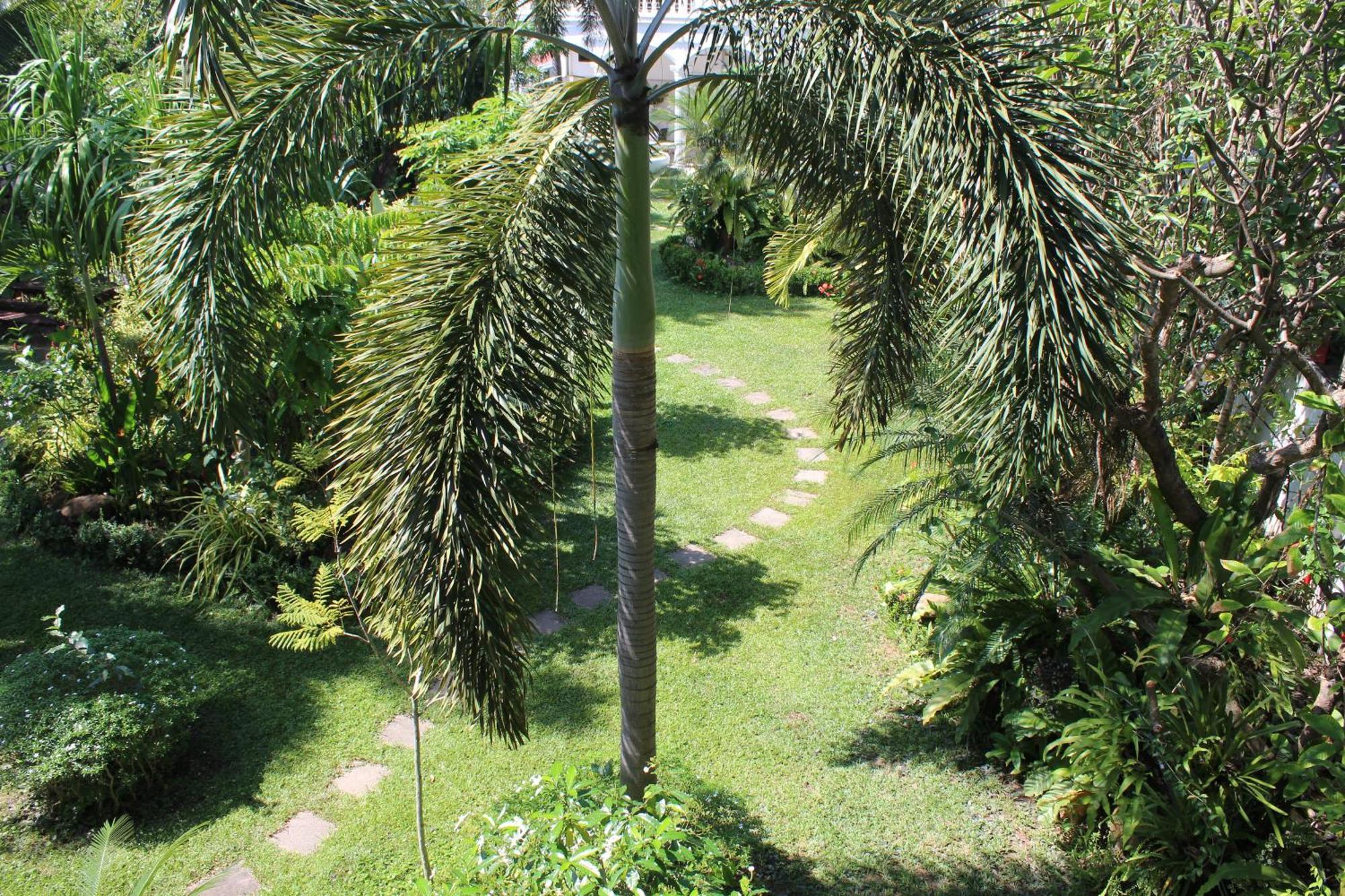 White Elephant Resort Surin Exteriér fotografie